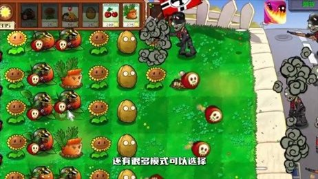 植物大战僵尸二战版(Plants vs. Zombies FREE)