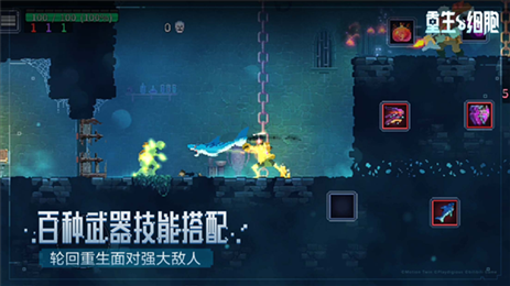 重生细胞bilibili版(Deadcells)