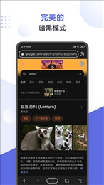 狐猴浏览器app