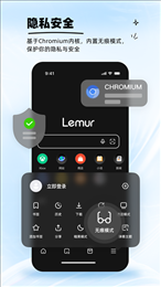 狐猴浏览器app